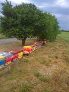 Obrázek k inzerátu