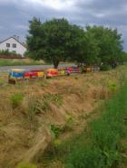 Obrázek k inzerátu